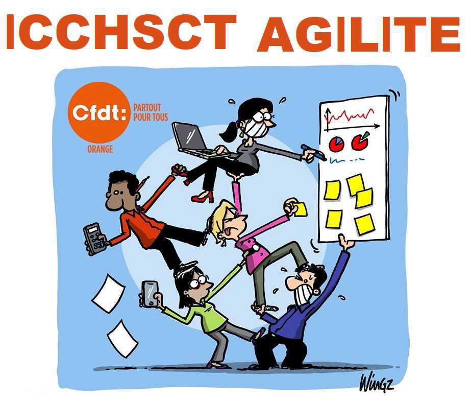 L'ICCHSCT AGILITE A RENDU SON AVIS