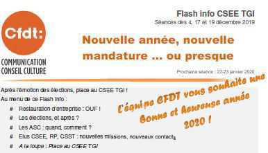 Flash info CSEE TGI-Séances des 4, 17 et 19 décembre 2019 