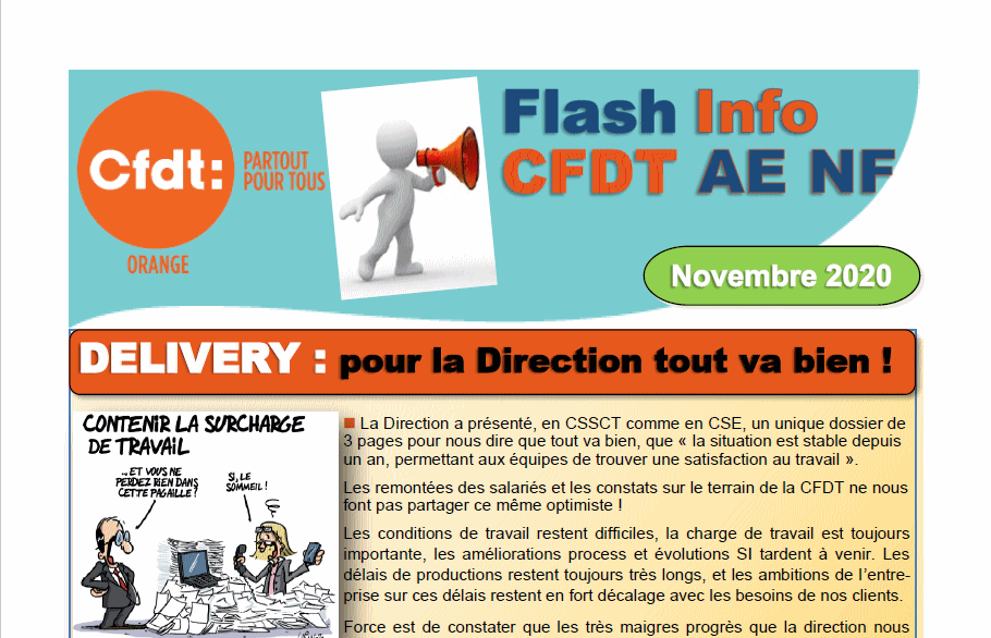 Flash Info CFDT AE NF Novembre 2020