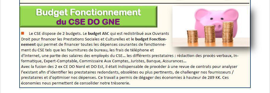 En direct du CSE DOGNE février 2021
