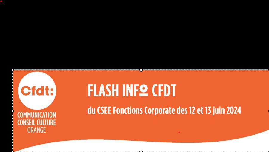  FLASH INFO CFDT CSEE 13 juin 2024 Approbation des comptes