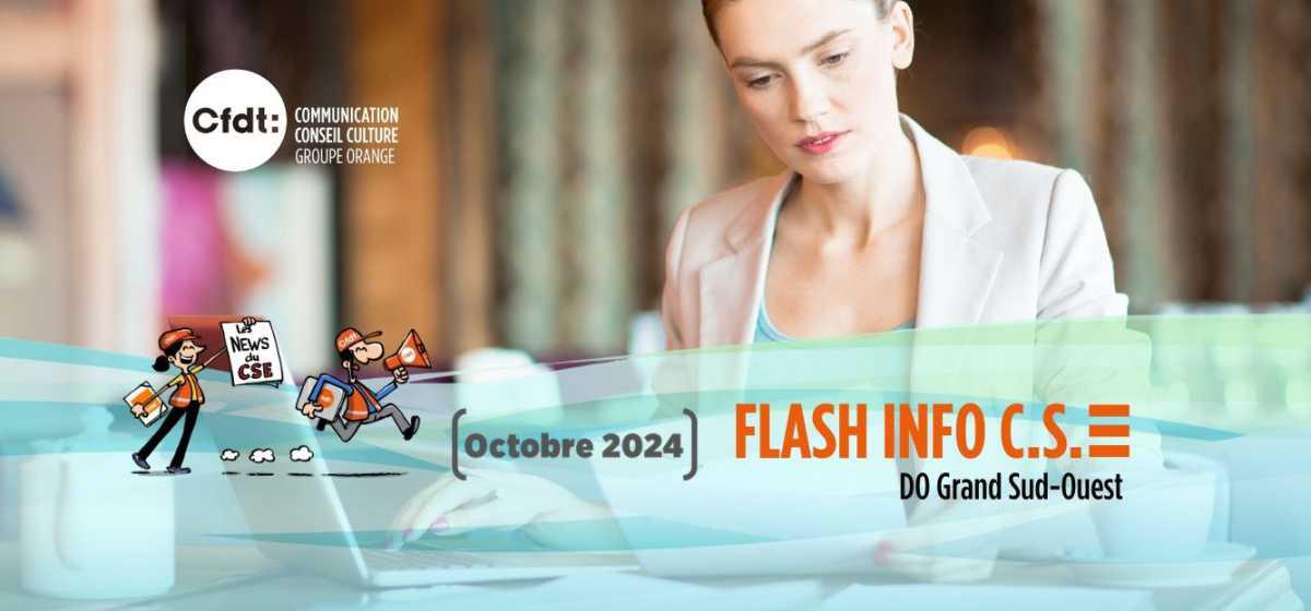 FLASH INFO DU CSE DOGSO