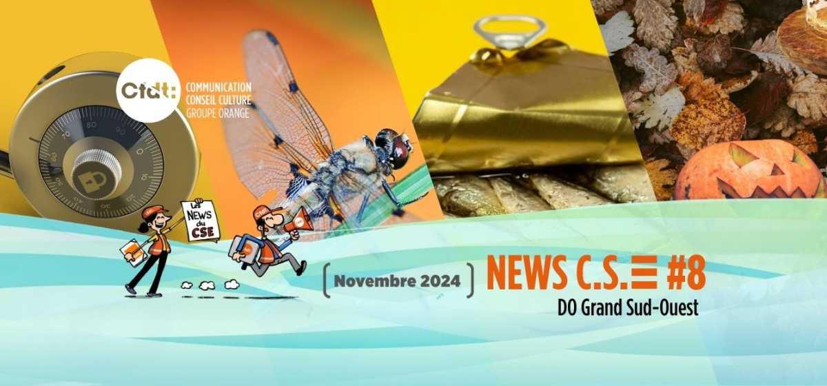 LES NEWS DU CSE 8 DOGSO