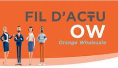 Fil d'actu du CSEE OW - Février 2026