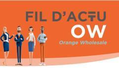 Fil d'actu des CSEEs OW - Juillet 2026