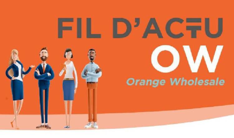 Fil d'actu du CSEE OW - Février 2024