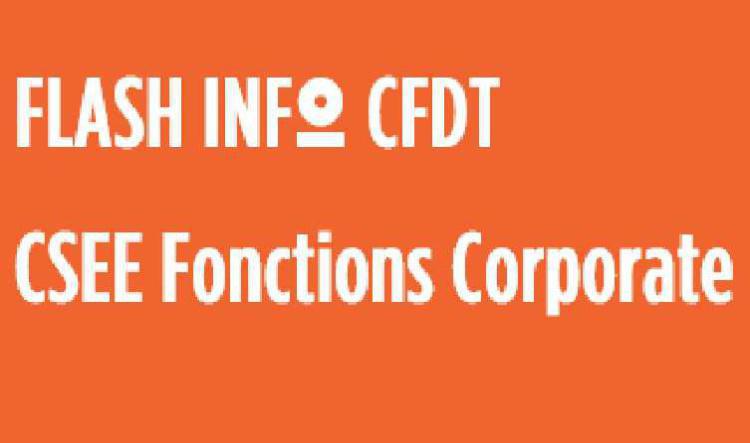  FLASH INFO CFDT CSEE 13 juin  2024 Approbation des comptes