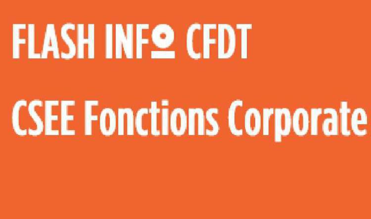   FLASH INFO CFDT CSEE Cahier spécial – le bloc 3 « Aux bornes de l'entreprise »Fonctions Corporate des 12 et 13 juin 2024 