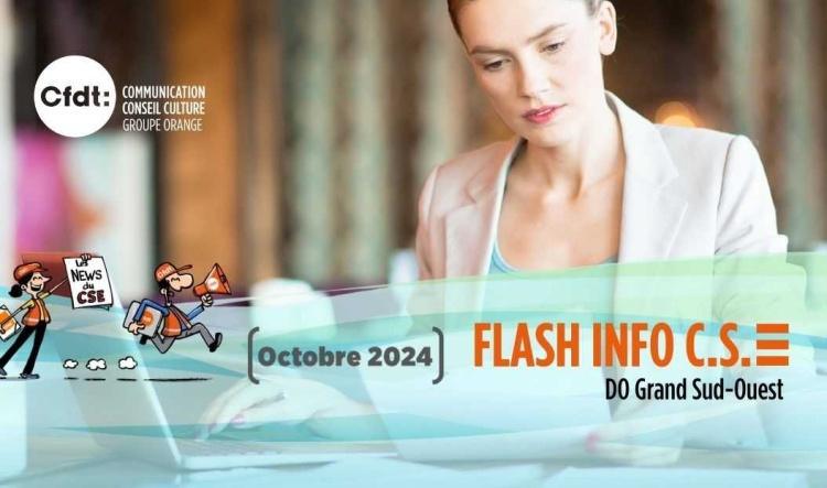 FLASH INFO DU CSE DOGSO