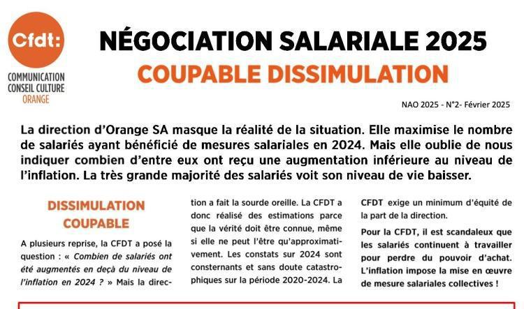 Négociation salariale 2025 - Coupable dissimulation - N°3