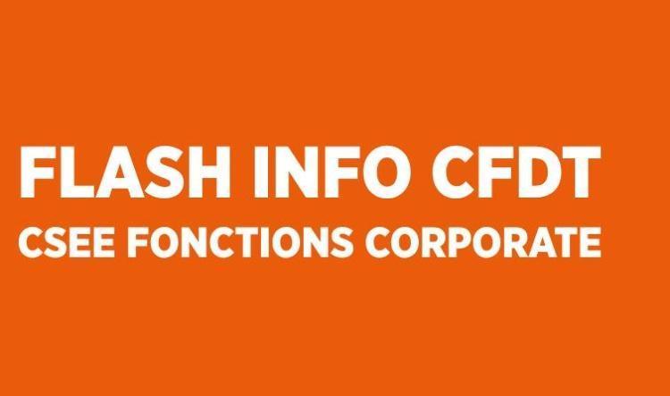 FLASH INFO CSE FONCTIONS CORPORATE