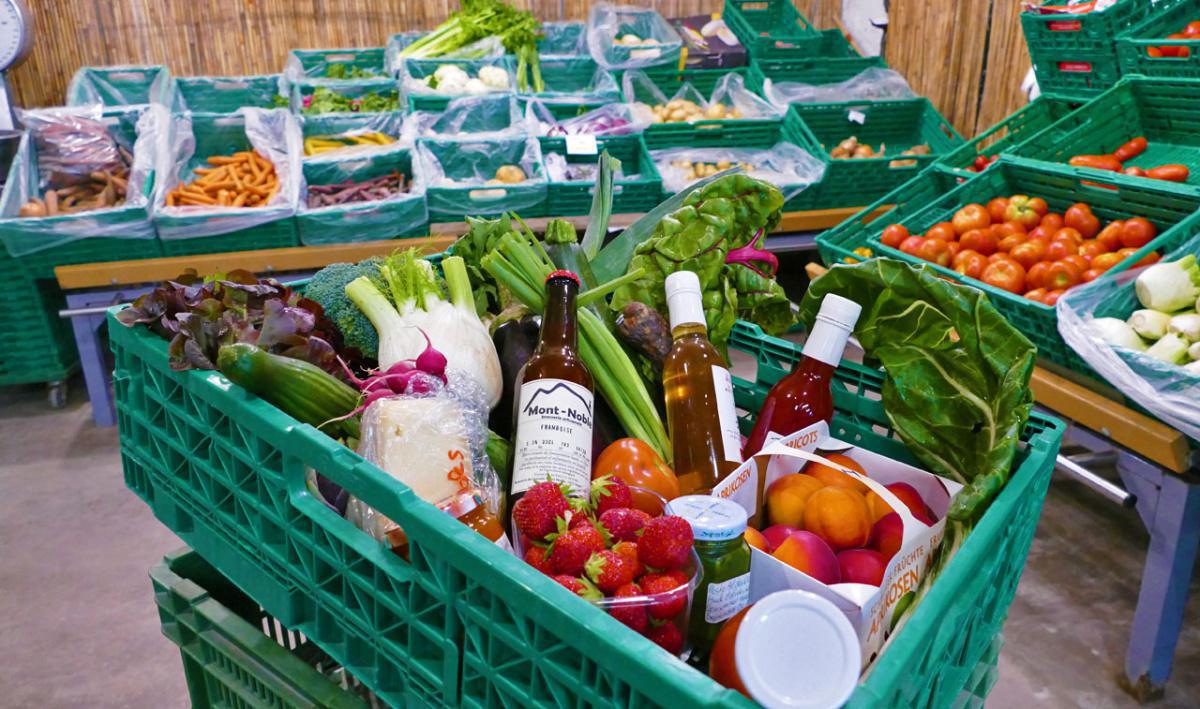 Duay Bernard & Fils Duay Bernard & Fils