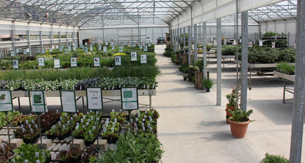 Roduit Plants SA