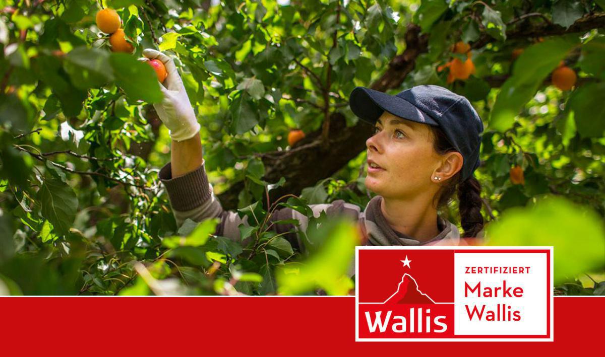 Les Fruits Défendus Les Fruits Défendus