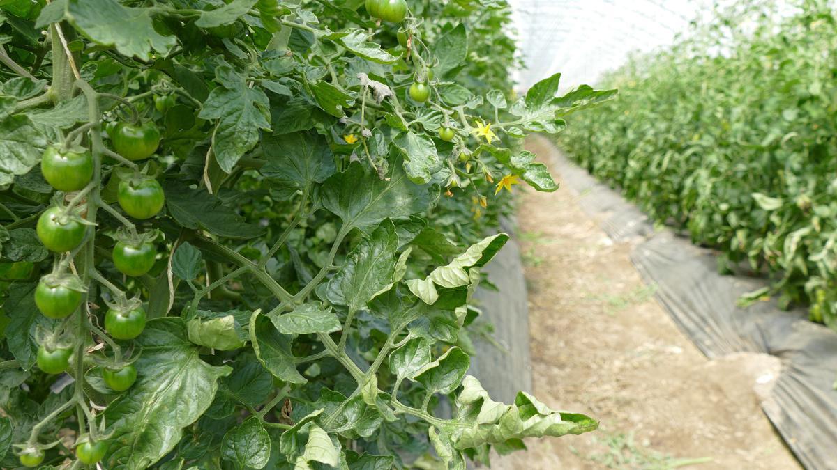 Magasin Dussex Magasin Dussex