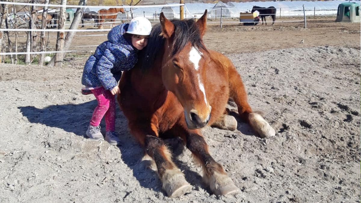 Magasin Dussex Magasin Dussex