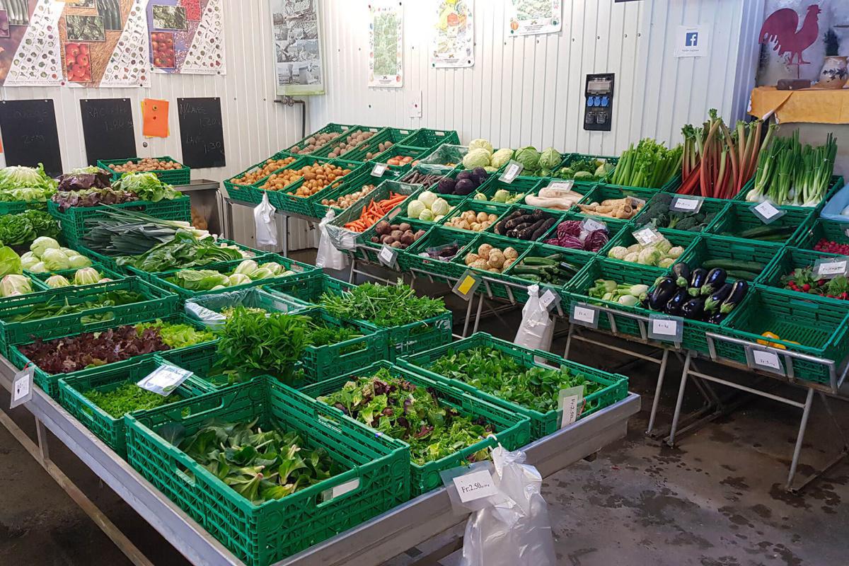 Stettler Claude-Alain Stettler Claude-Alain