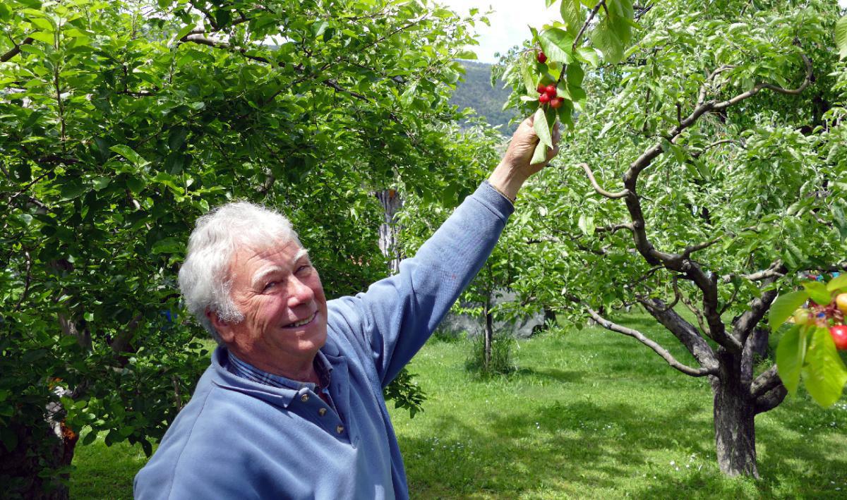 Eggs Alexis Eggs Alexis