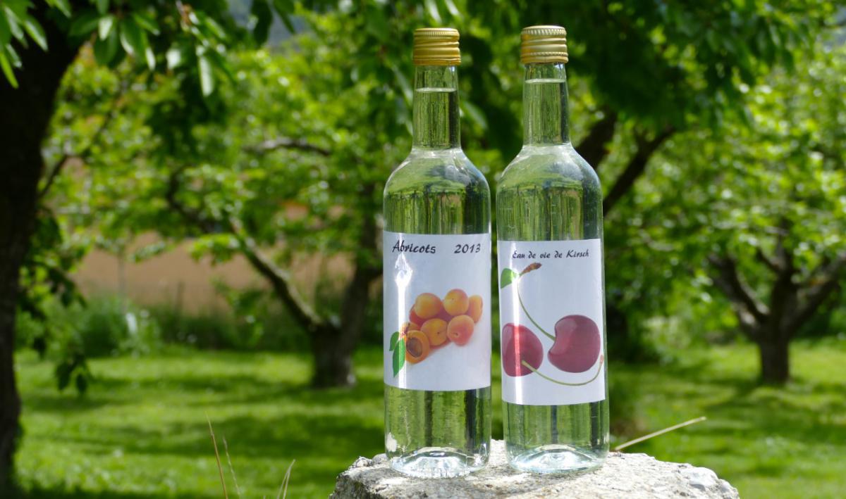 Eggs Alexis Eggs Alexis