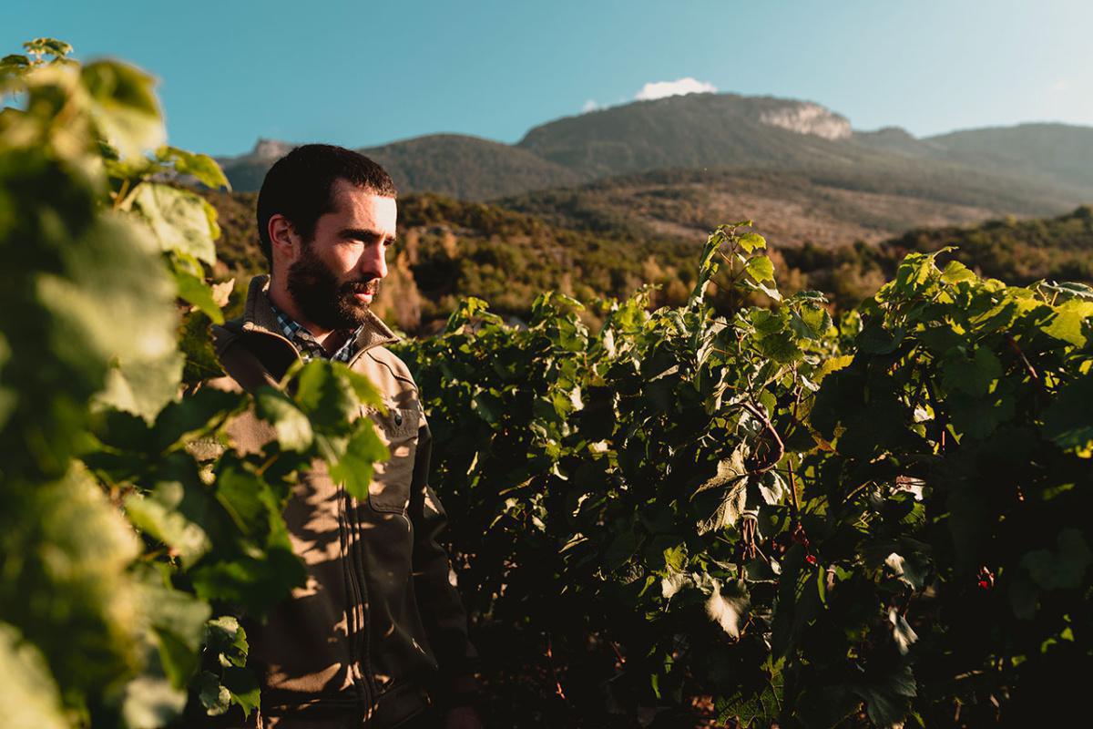 Caves du Paradis Caves du Paradis