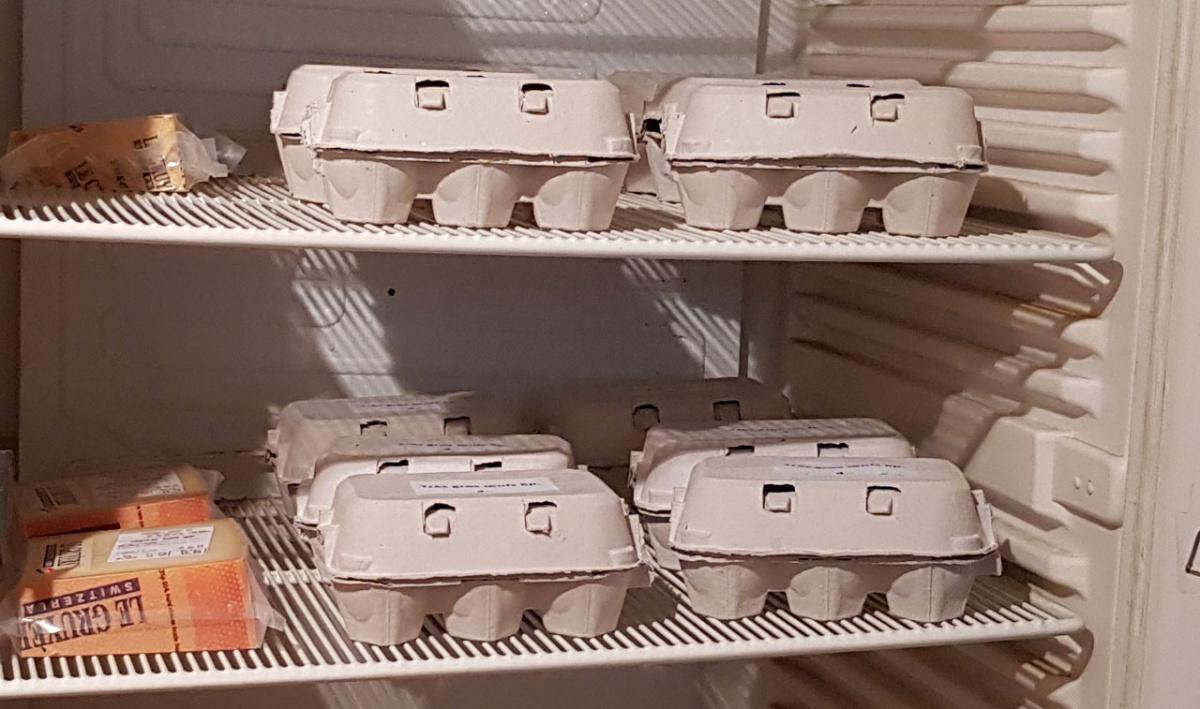 Magaz1, la ferme de Chenevières Magaz1, la ferme de Chenevières