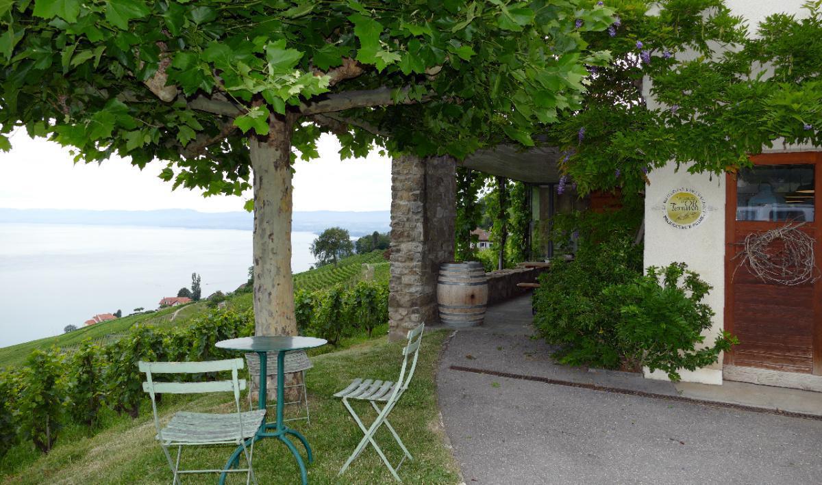 Domaine Porta Domaine Porta