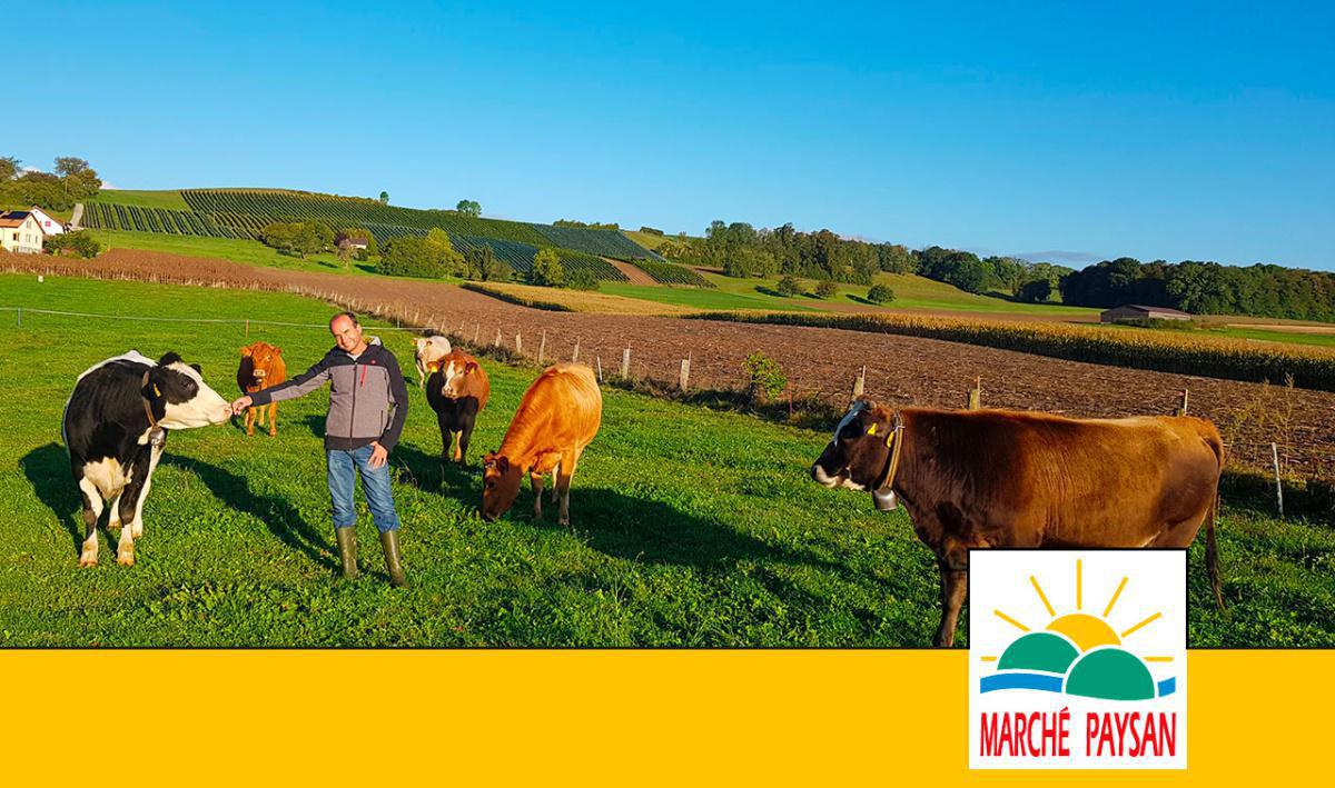 Les Saveurs Epicuriennes Les Saveurs Epicuriennes