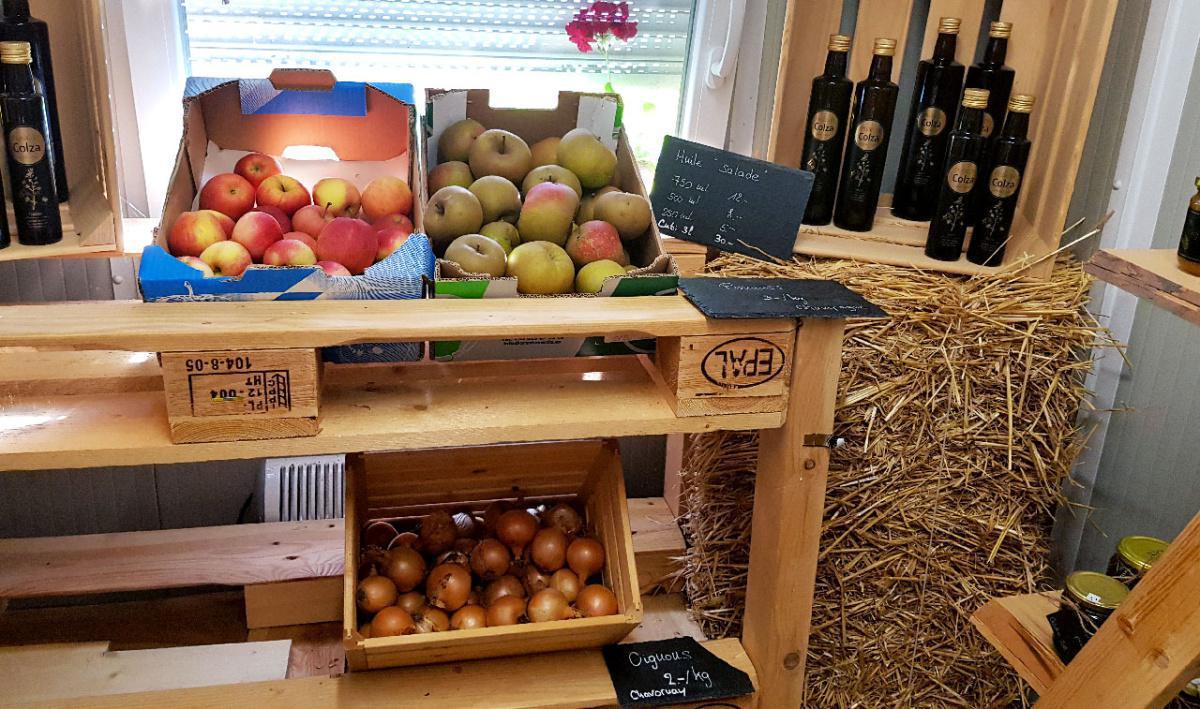 Famille Agassis Famille Agassis