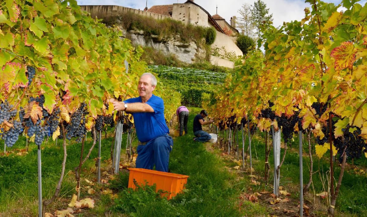 Cave de Marterey Cave de Marterey