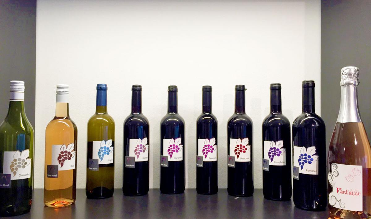 Domaine YM  Domaine YM