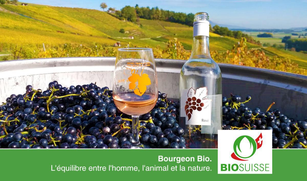 Domaine YM  Domaine YM