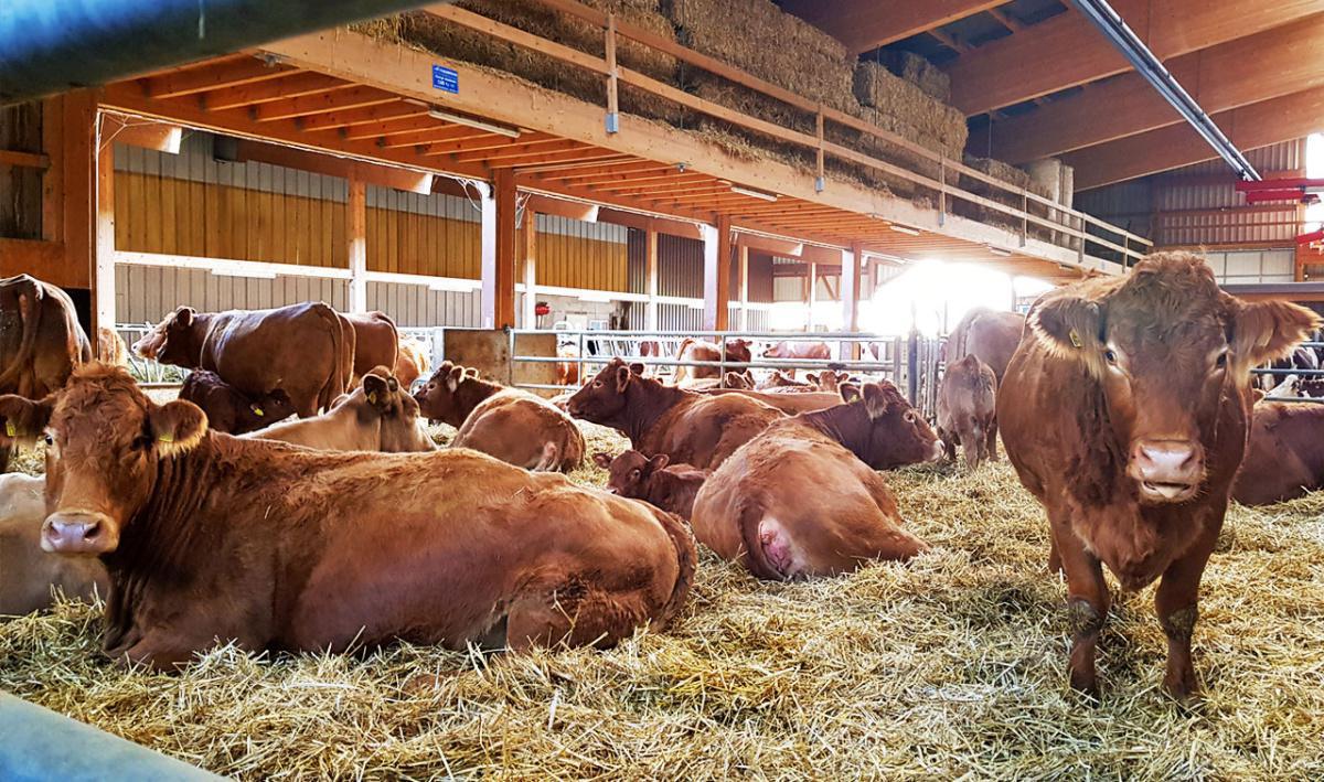 Domaine de Rochebot Famille Miaz Domaine de Rochebot Famille Miaz