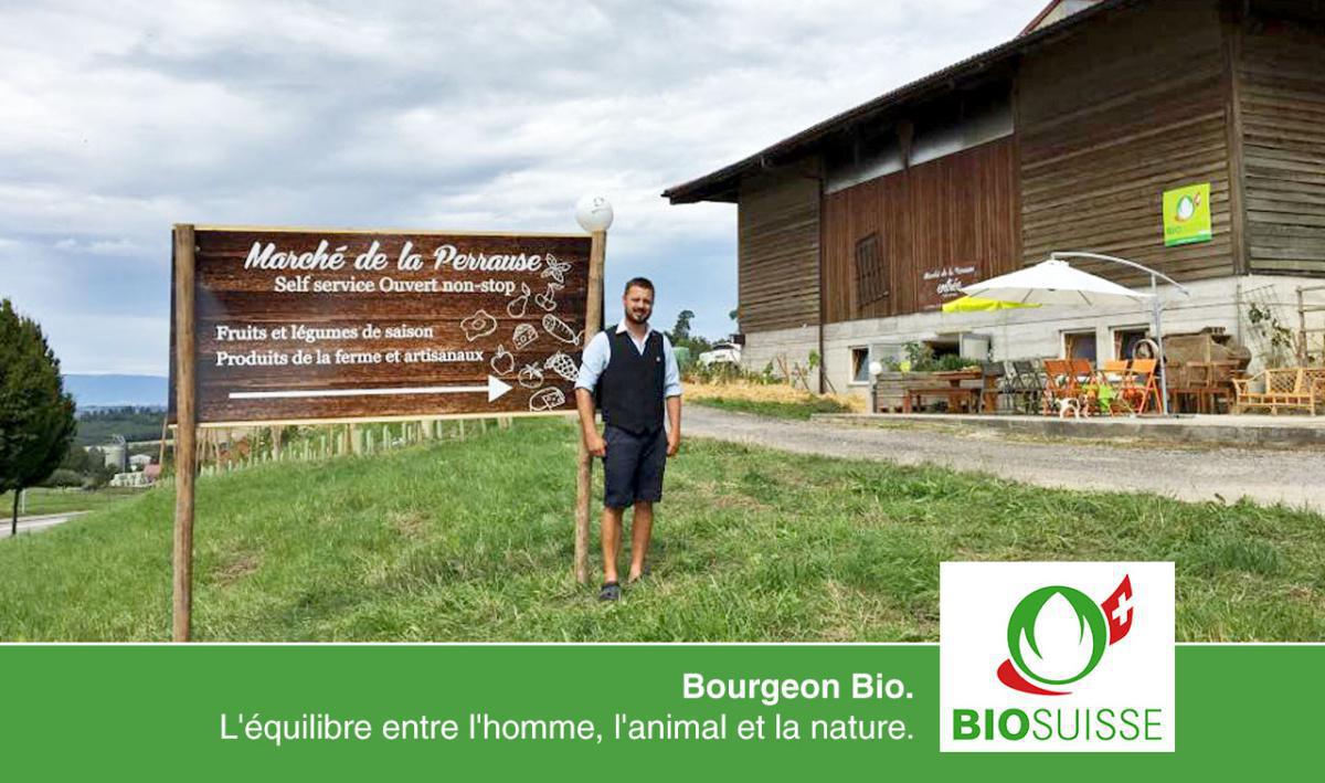 Marché de la Perrause Marché de la Perrause