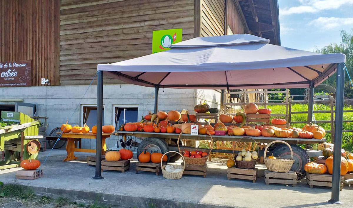 Marché de la Perrause Marché de la Perrause