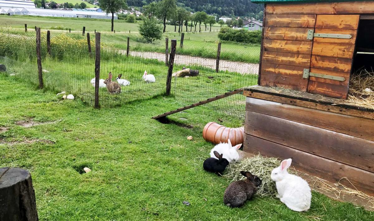 Domaine de l'Aurore Domaine de l'Aurore