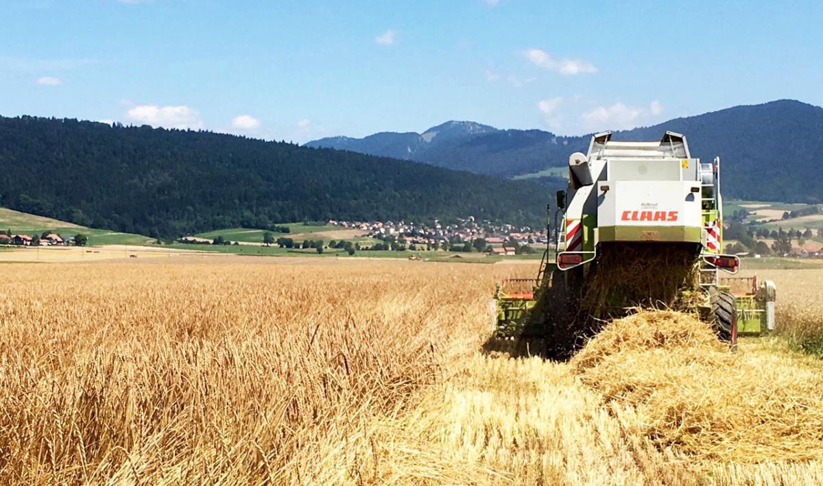 Domaine de l'Aurore Domaine de l'Aurore