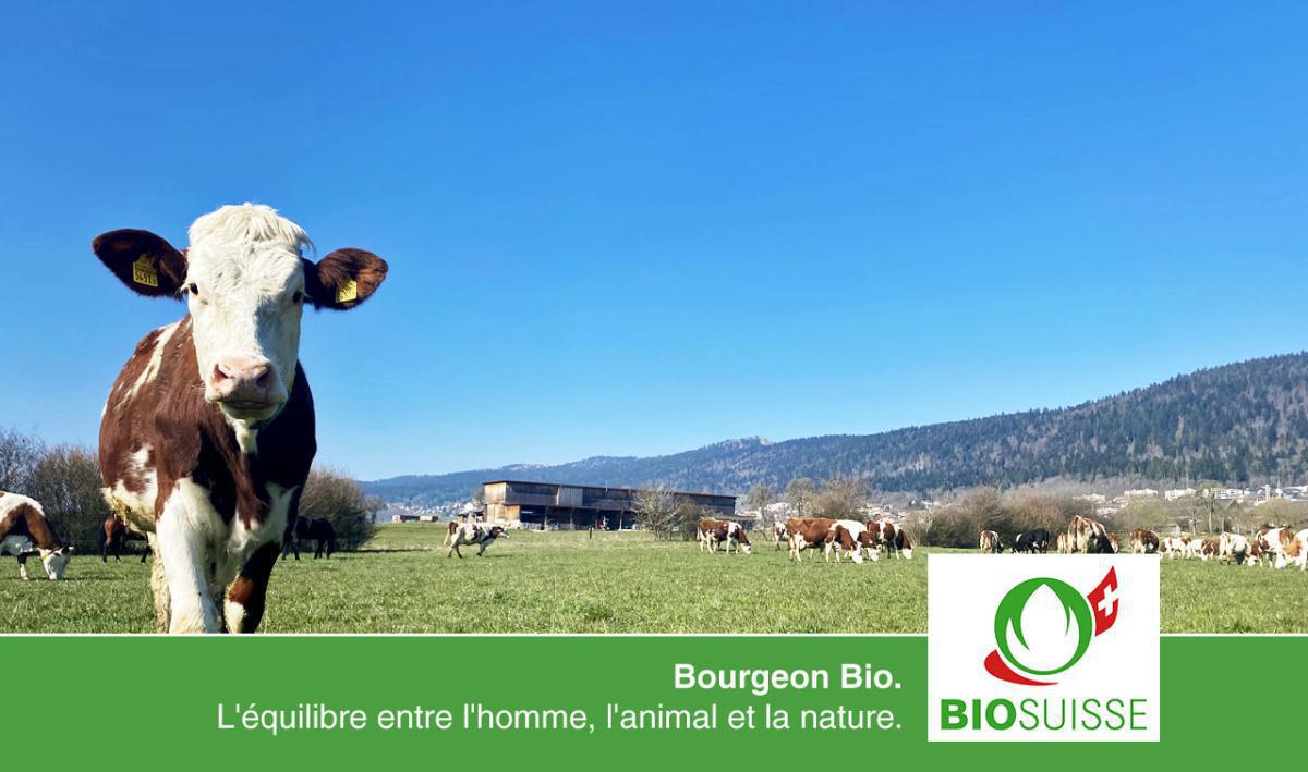 Domaine de l'Aurore Domaine de l'Aurore