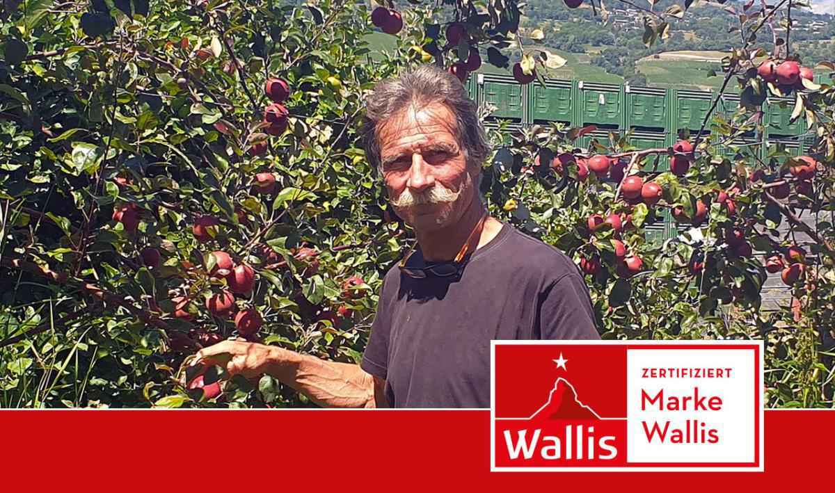 Les Vergers du Soleil Les Vergers du Soleil