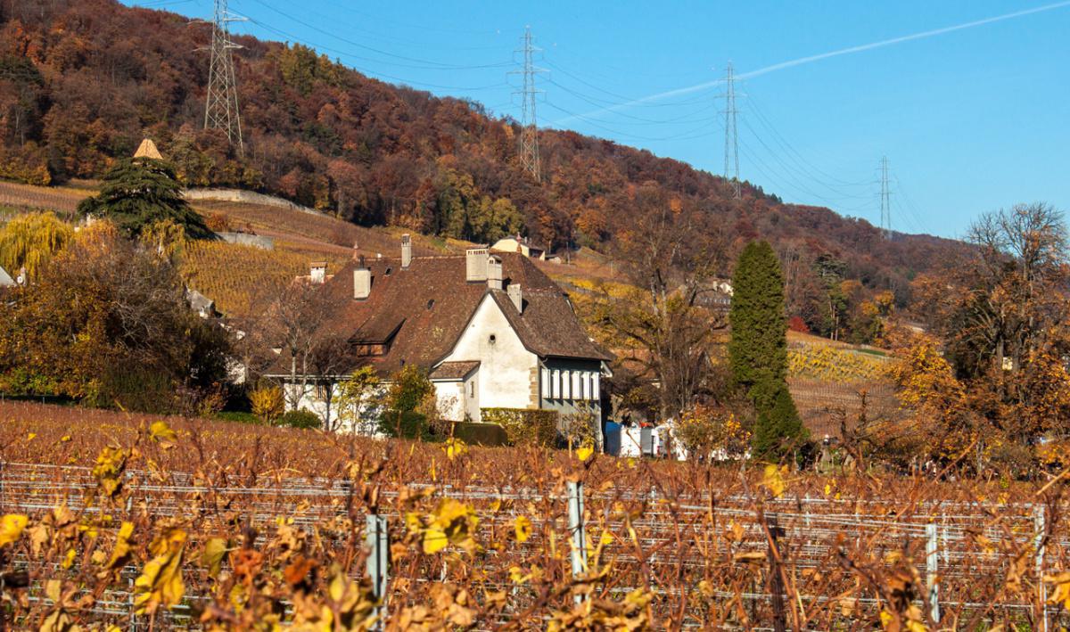 Château de Luins Château de Luins