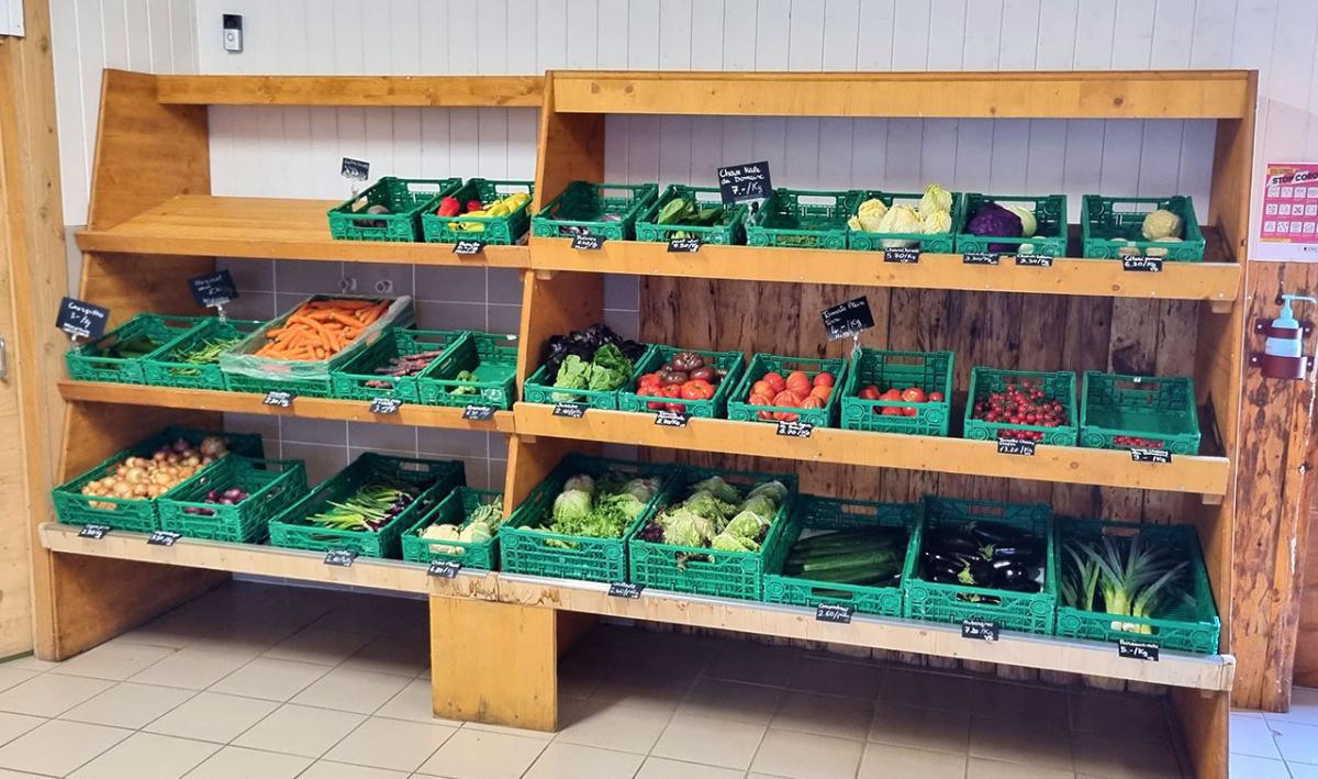 Domaine du Pied de la Dôle  Domaine du Pied de la Dôle