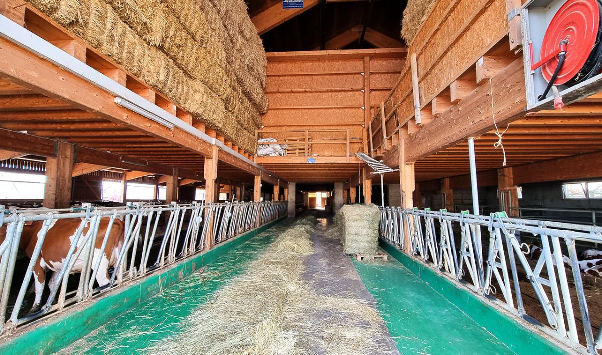 Ferme Didier Humbert Ferme Didier Humbert