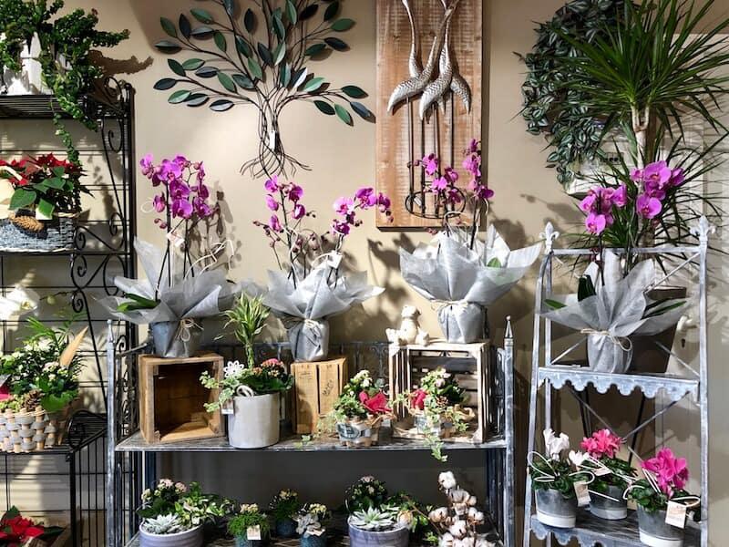 Claire et Justine Boidin fleuristes Claire et Justine Boidin fleuristes