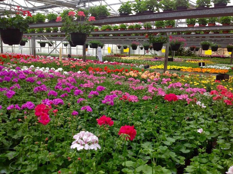 Claire et Justine Boidin fleuristes Claire et Justine Boidin fleuristes