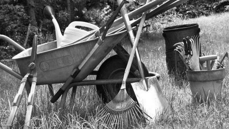 Au Service Wissantais (Jardinage)