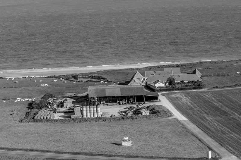 Ferme St Po (Viande de bœuf)
