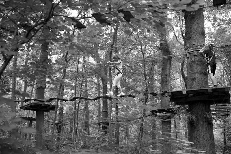 Parcours d'accrobranche Passion d'Aventure