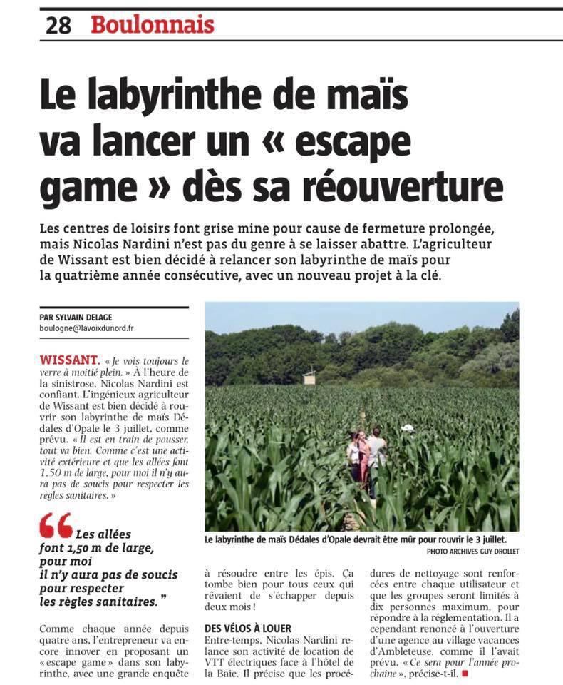 À Wissant, le labyrinthe de maïs va lancer un escape game dès sa réouverture