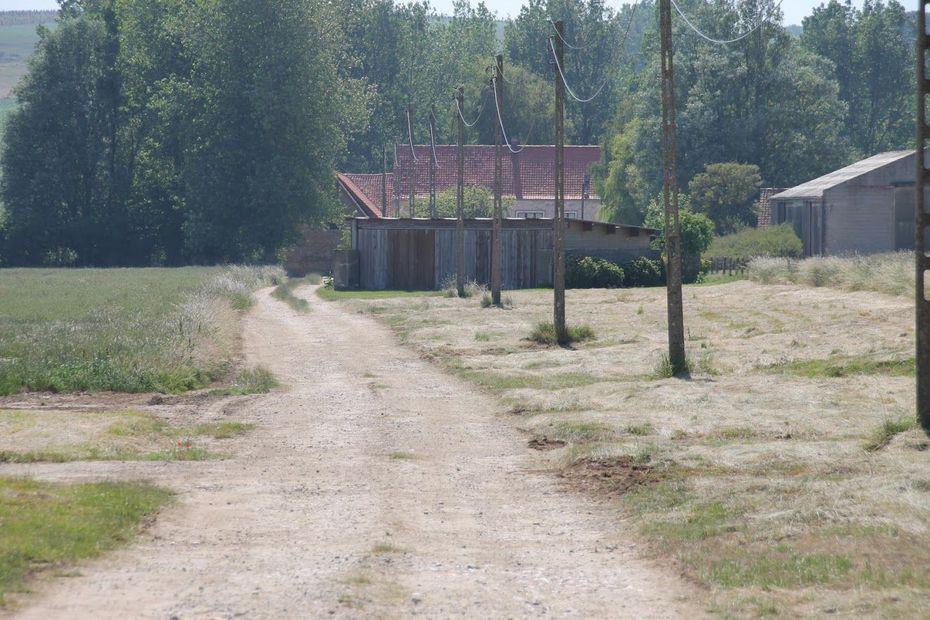 80 ans de la Bataille d'Angleterre : à Audembert, sur les traces de l'ancienne base d'Adolf Galland, as de la Luftwaffe
