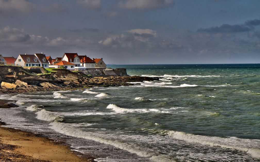 À Audresselles, la fête du crabe aura bien lieu le week-end prochain À Audresselles, la fête du crabe aura bien lieu le week-end prochain