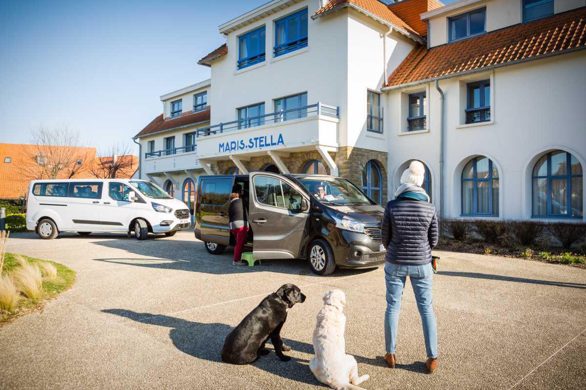 La médiation animale, un pari contre l’isolement